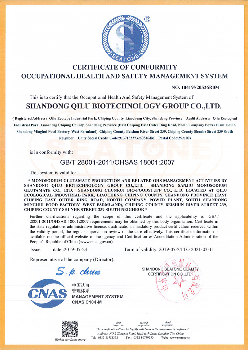 OCCUPATIONAL HEALTH AND SAFETY MANAGEMENT SYSTEM CERTIFICATE